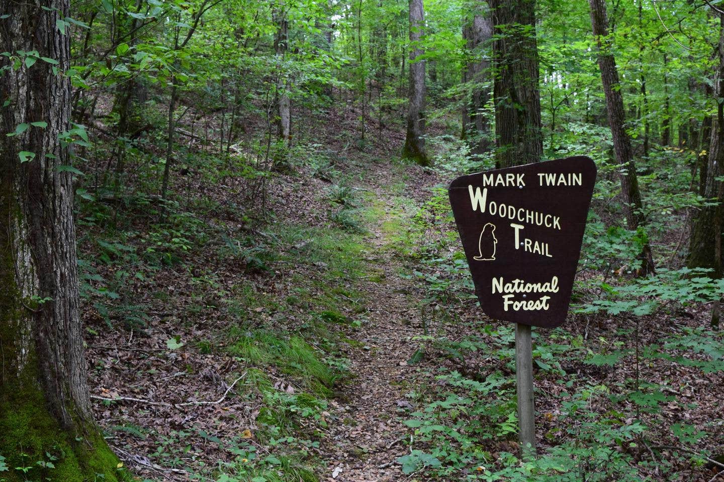 Camper-submitted photo at Mark Twain National Forest Float Camp Recreation Area near Puxico, MO