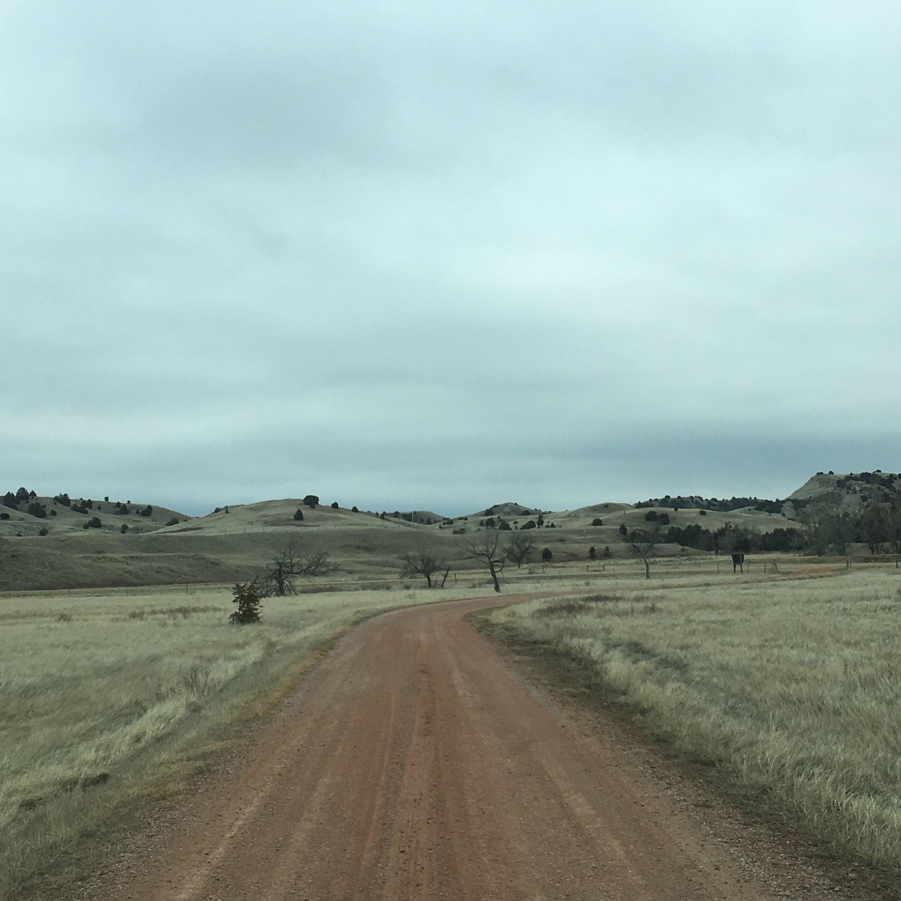 Camper submitted image from Buffalo Gap National Grassland - 3