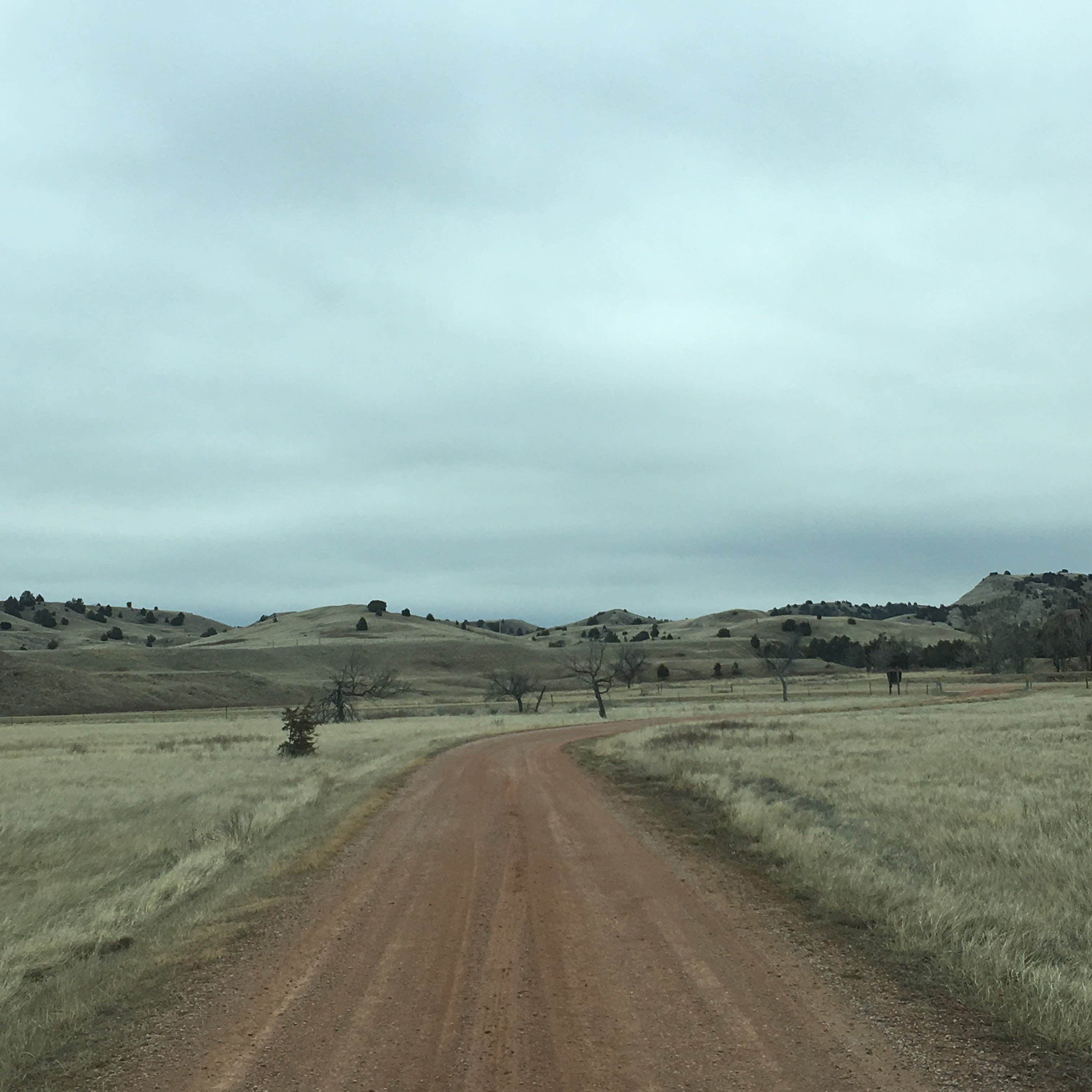 Camper submitted image from Buffalo Gap National Grassland - 3