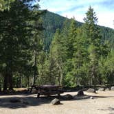 Review photo of McNeil Campground by Bjorn S., August 28, 2016