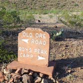 Review photo of Roys Peak Vista — Big Bend National Park by Bounding Around , April 30, 2019