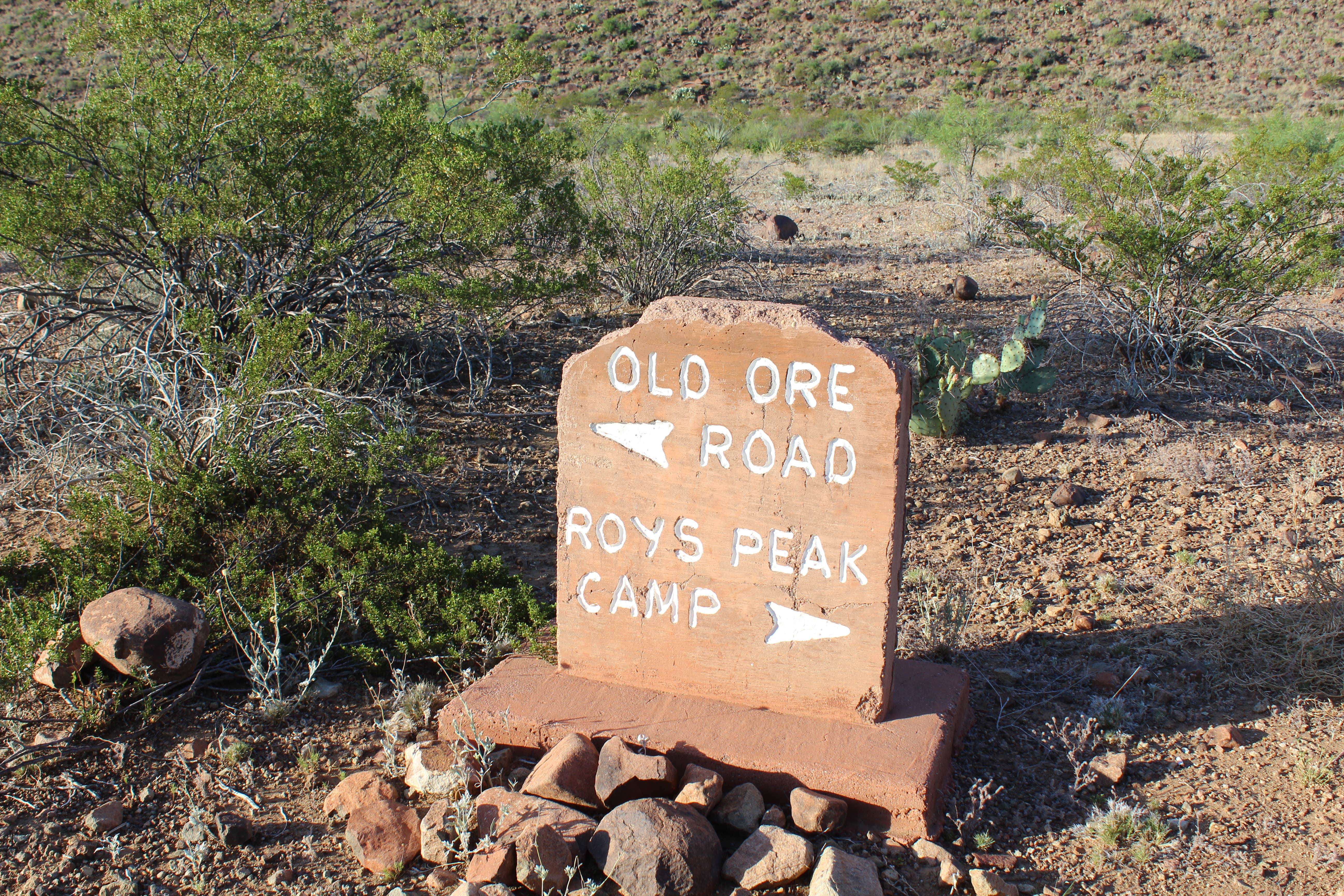 Camper submitted image from Roys Peak Vista — Big Bend National Park - 3