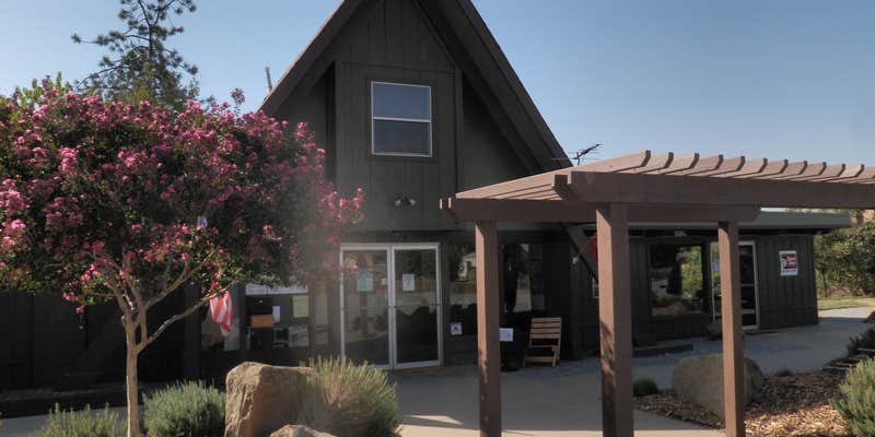 Camper submitted image from Lemon Cove Village