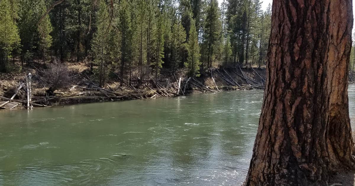 LaPine State Park Campground