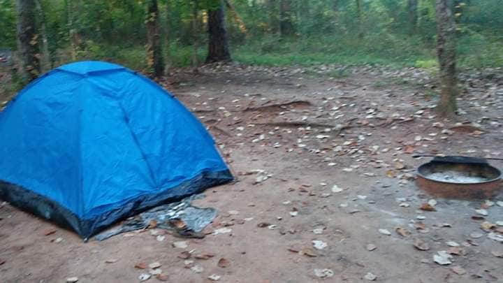 Amanda K.'s photo at Blue Hole Campground — Florida Caverns State Park near Bonifay, FL