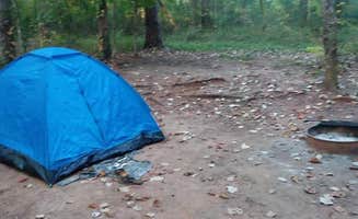 Amanda K.'s photo at Blue Hole Campground — Florida Caverns State Park near Headland, AL