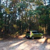 Review photo of Blue Hole Campground — Florida Caverns State Park by Amanda K., May 1, 2019