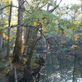 Review photo of Blue Hole Campground — Florida Caverns State Park by Amanda K., May 1, 2019