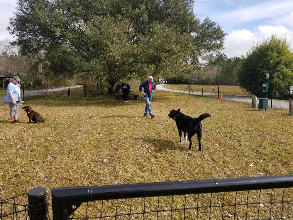 Camper-submitted photo at Bay Hide Away RV Park And Campground near Pearl River, LA