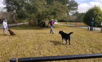 Lea T.'s photo of camping with pets at Bay Hide Away RV Park And Campground near Gulfport, MS