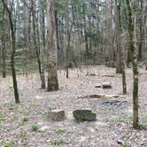 Review photo of Sipsey Wilderness Backcountry Site (Trail 203 Site B) by Asher K., May 1, 2019