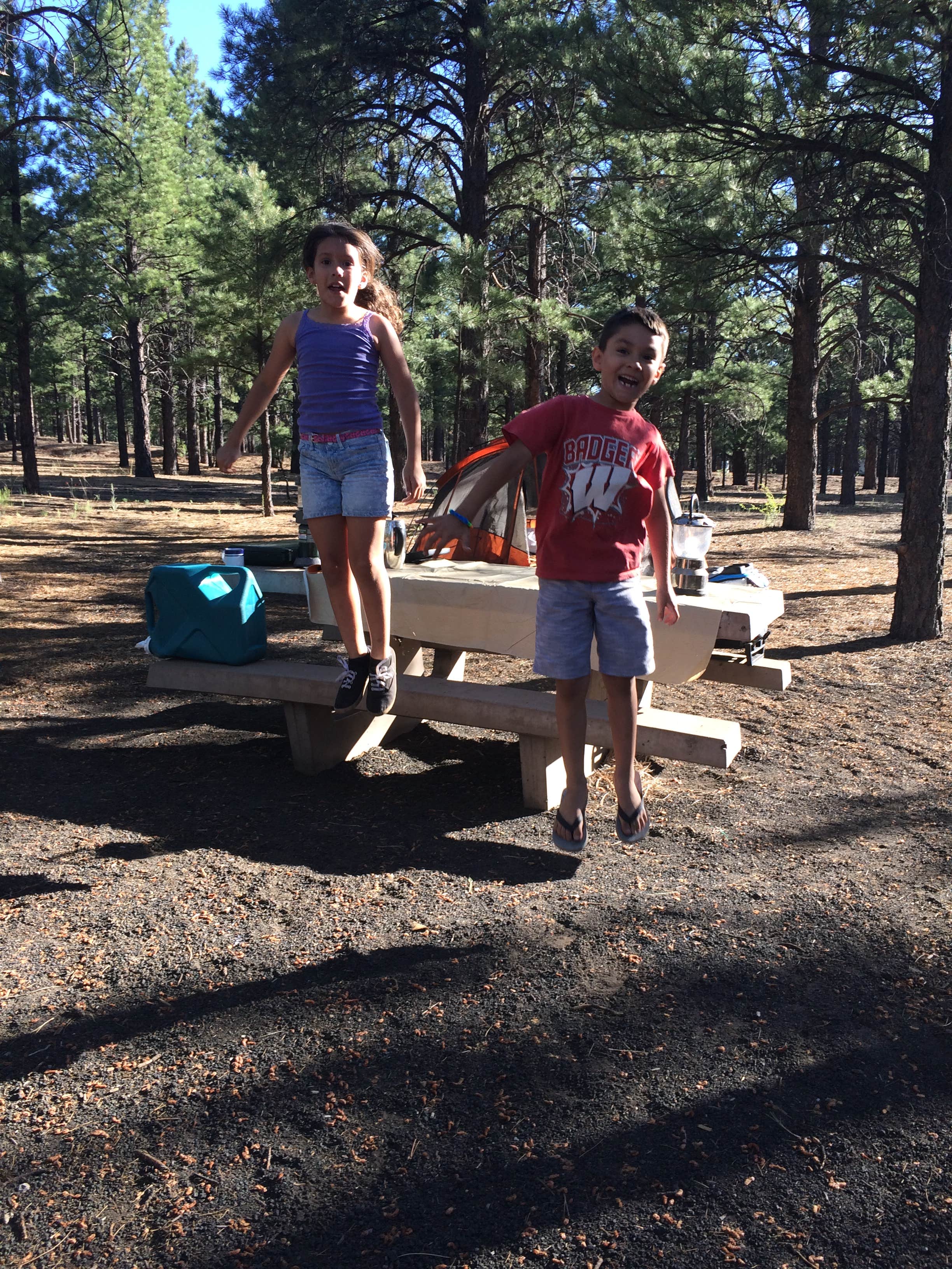 Camper submitted image from Bonito Campground — Sunset Crater National Monument - 3