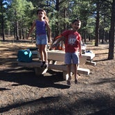 Review photo of Bonito - Sunset Crater National Monument by Carrie  D., August 29, 2016