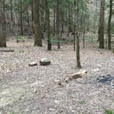 Review photo of Sipsey Wilderness Backcountry Site (Trail 203 Site B) by Asher K., May 1, 2019