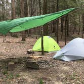 Review photo of Sipsey Wilderness Backcountry Site (Trail 203 Site B) by Asher K., May 1, 2019