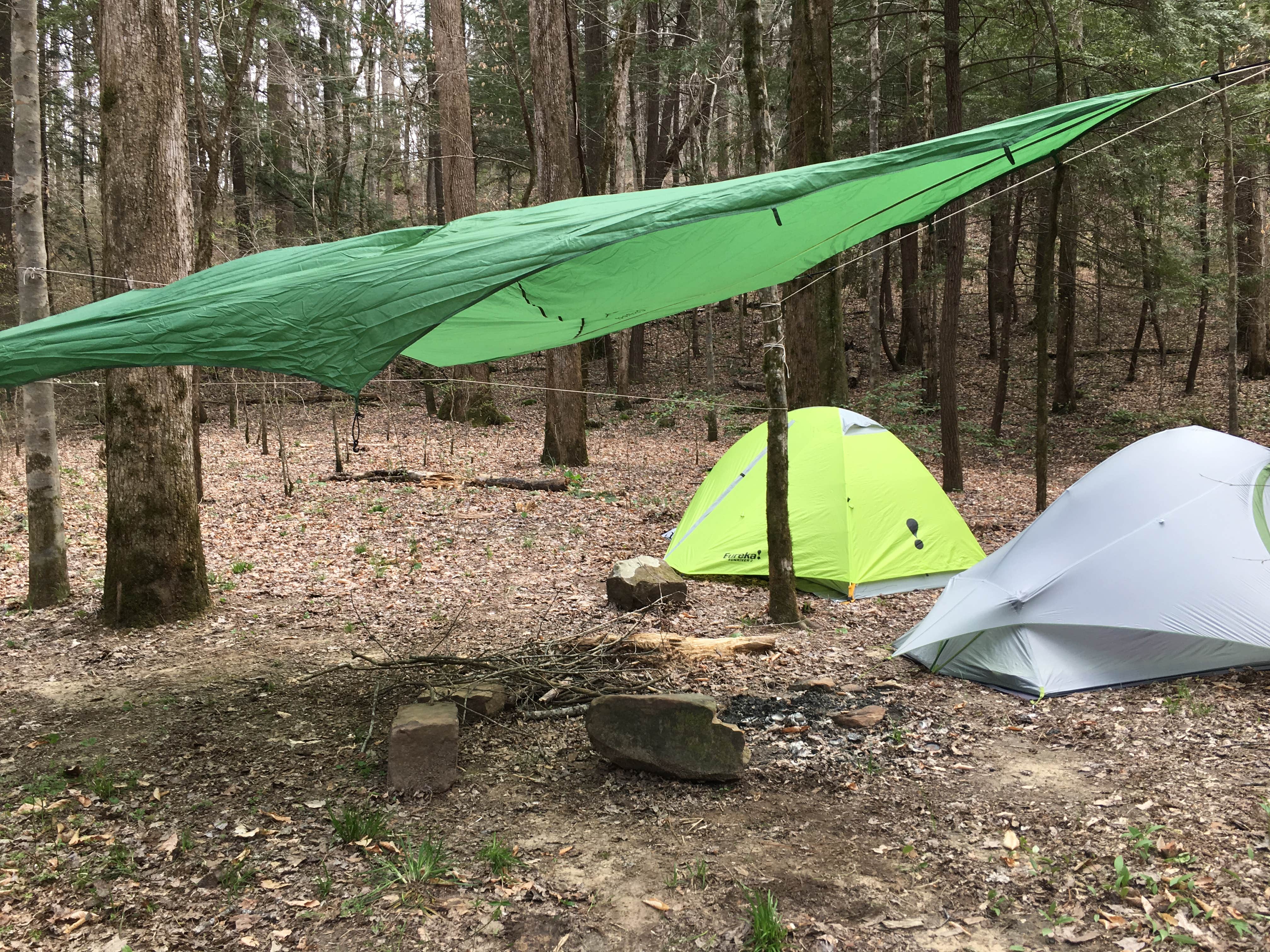 Camper submitted image from Sipsey Wilderness Backcountry Site (Trail 203 Site B) - 5