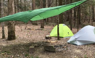Asher K.'s photo of tent camping at Sipsey Wilderness Backcountry Site (Trail 203 Site B) near Addison, AL
