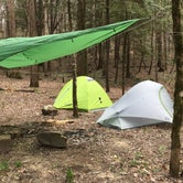 Review photo of Sipsey Wilderness Backcountry Site (Trail 203 Site B) by Asher K., May 1, 2019
