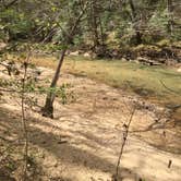 Review photo of Sipsey Wilderness Backcountry Site (Trail 203 Site B) by Asher K., May 1, 2019