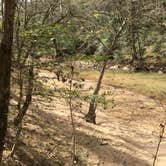 Review photo of Sipsey Wilderness Backcountry Site (Trail 203 Site B) by Asher K., May 1, 2019