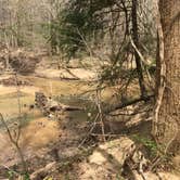 Review photo of Sipsey Wilderness Backcountry Site (Trail 203 Site B) by Asher K., May 1, 2019