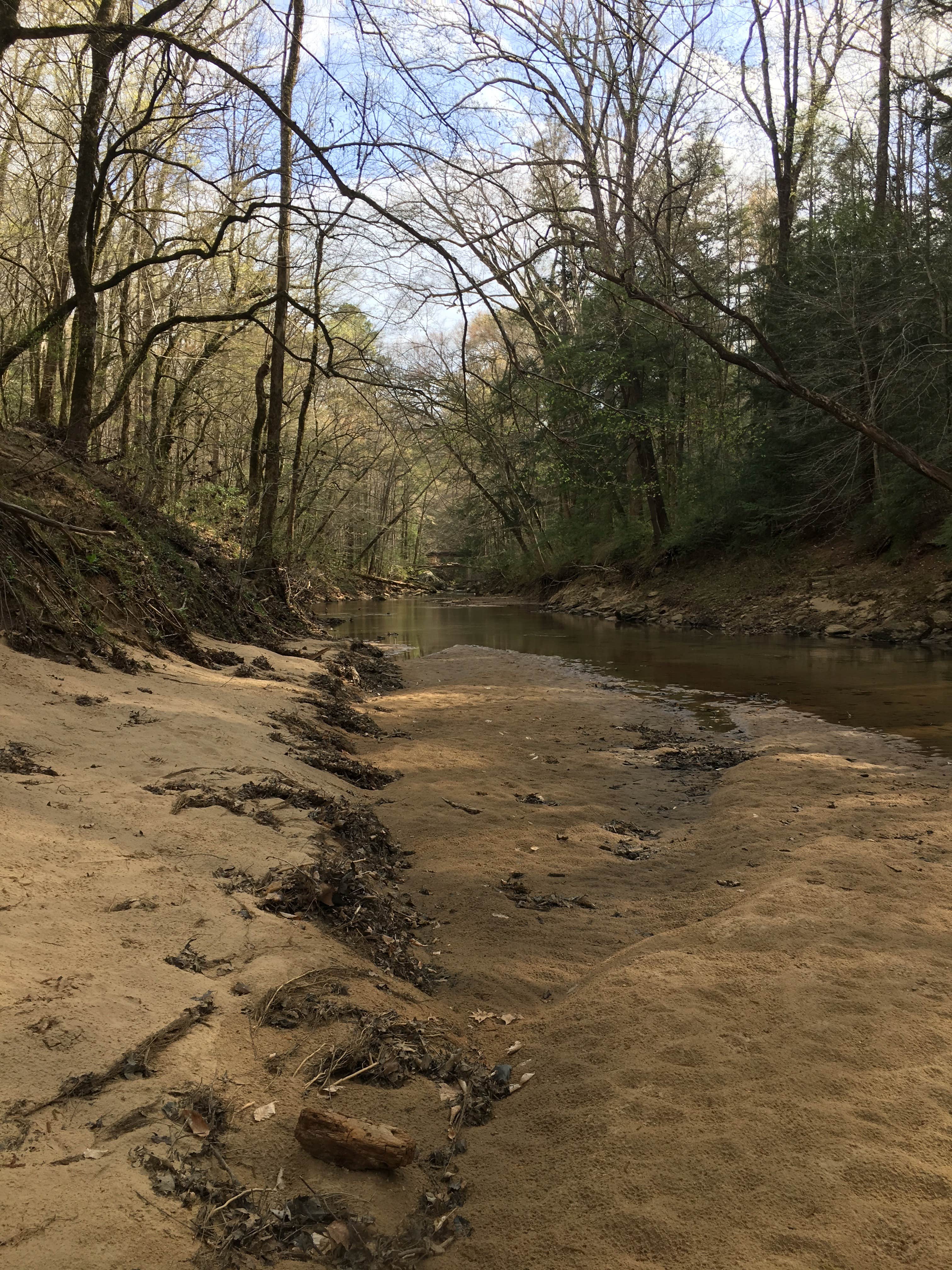Camper-submitted photo at Sipsey Wilderness Backcountry Site (Trail 203 Site B) near Danville, AL