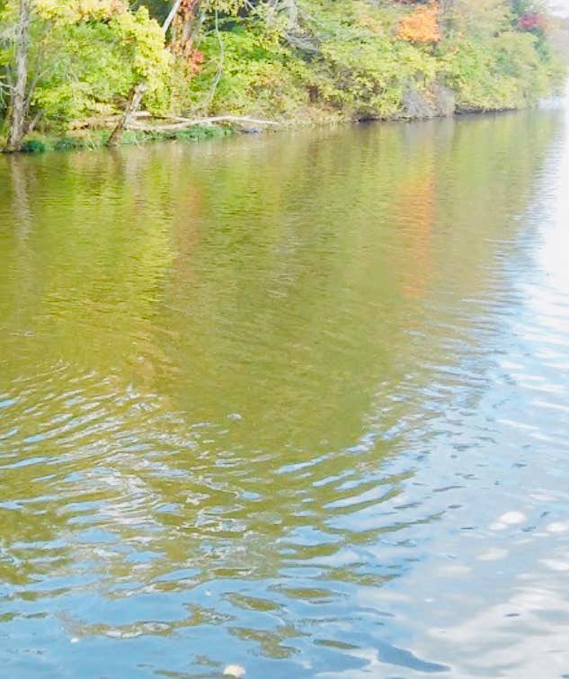 Camper-submitted photo at Stonelick State Park Campground near Blue Ash, OH