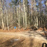 Review photo of Wolfe's Neck Oceanfront Campground by Asher K., May 1, 2019