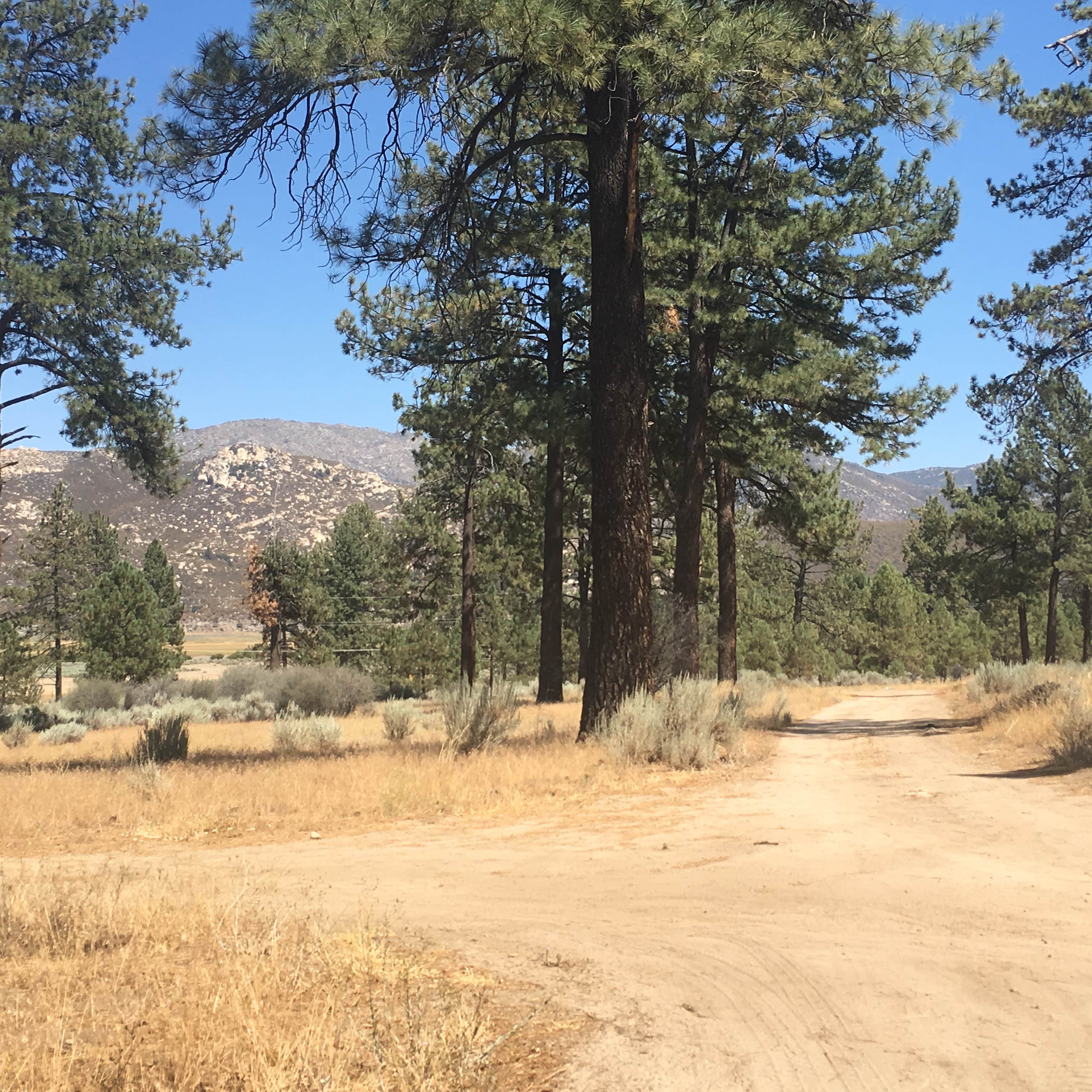 Camper-submitted photo at Thomas Hunting Grounds Yellow Post Campites near Running Springs, CA