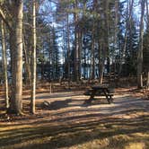 Review photo of Wolfe's Neck Oceanfront Campground by Asher K., May 1, 2019