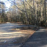 Review photo of Wolfe's Neck Oceanfront Campground by Asher K., May 1, 2019