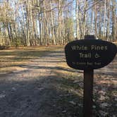 Review photo of Wolfe's Neck Oceanfront Campground by Asher K., May 1, 2019