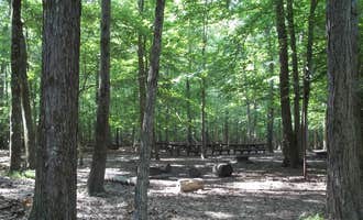 Camping near Rappahannock River Campground: Turkey Run Ridge Group Campground — Prince William Forest Park, Dumfries, Virginia