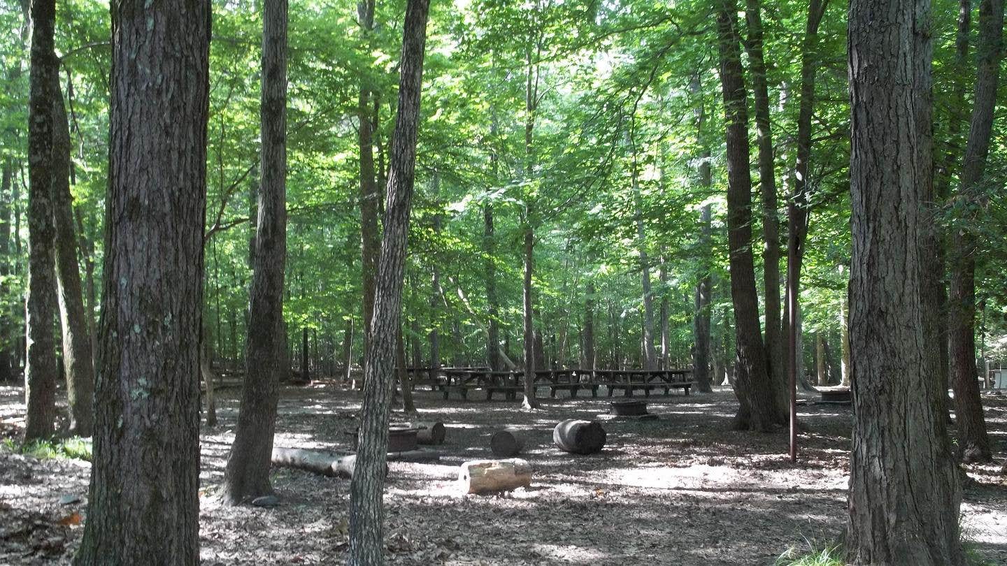Camper submitted image from Turkey Run Ridge Group Campground — Prince William Forest Park - 1