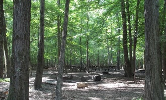 Camping near Burke Lake Park Campground: Turkey Run Ridge Group Campground — Prince William Forest Park, Dumfries, Virginia