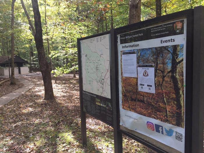 Camper submitted image from Turkey Run Ridge Group Campground — Prince William Forest Park - 3