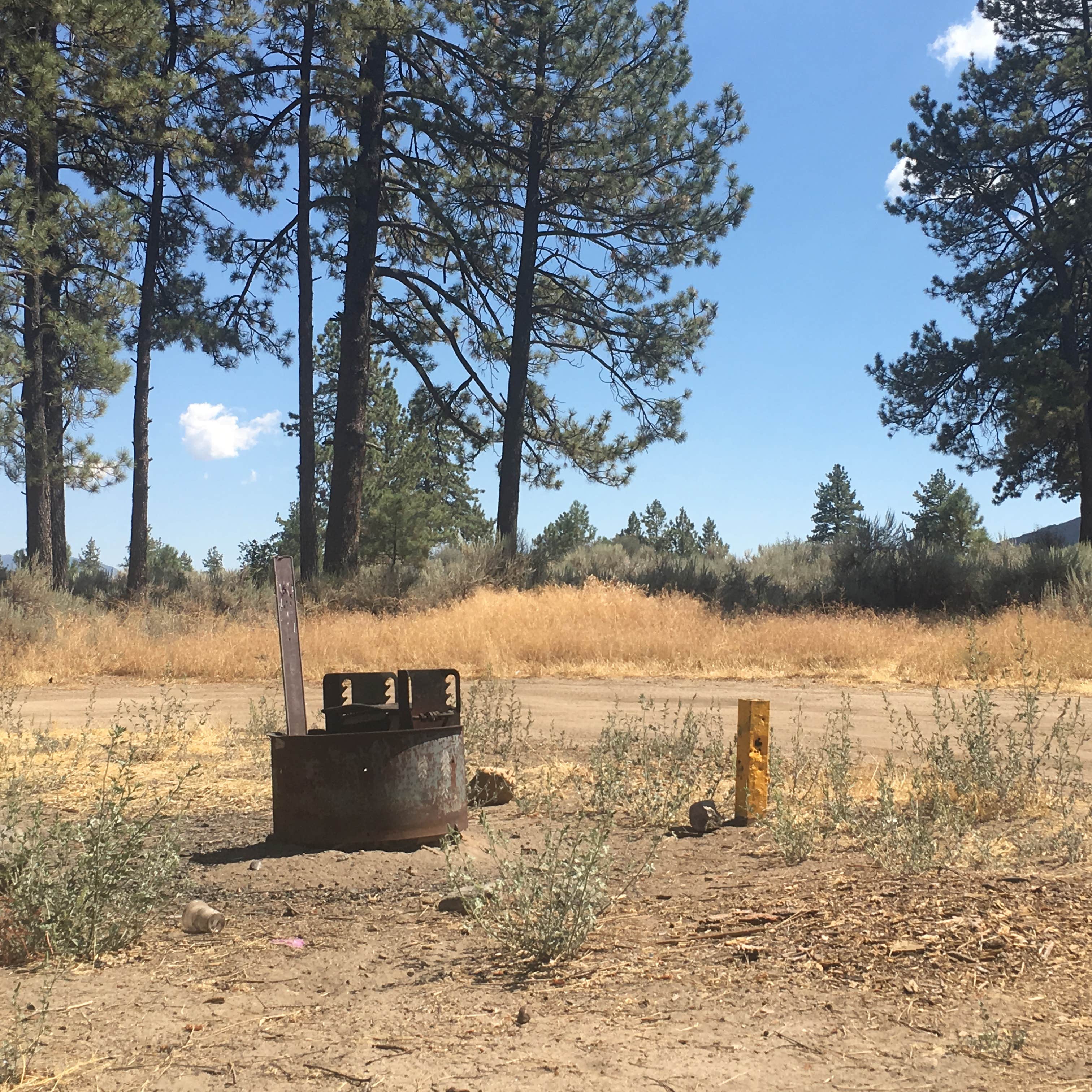 Camper-submitted photo at Thomas Hunting Grounds Yellow Post Campites near Running Springs, CA