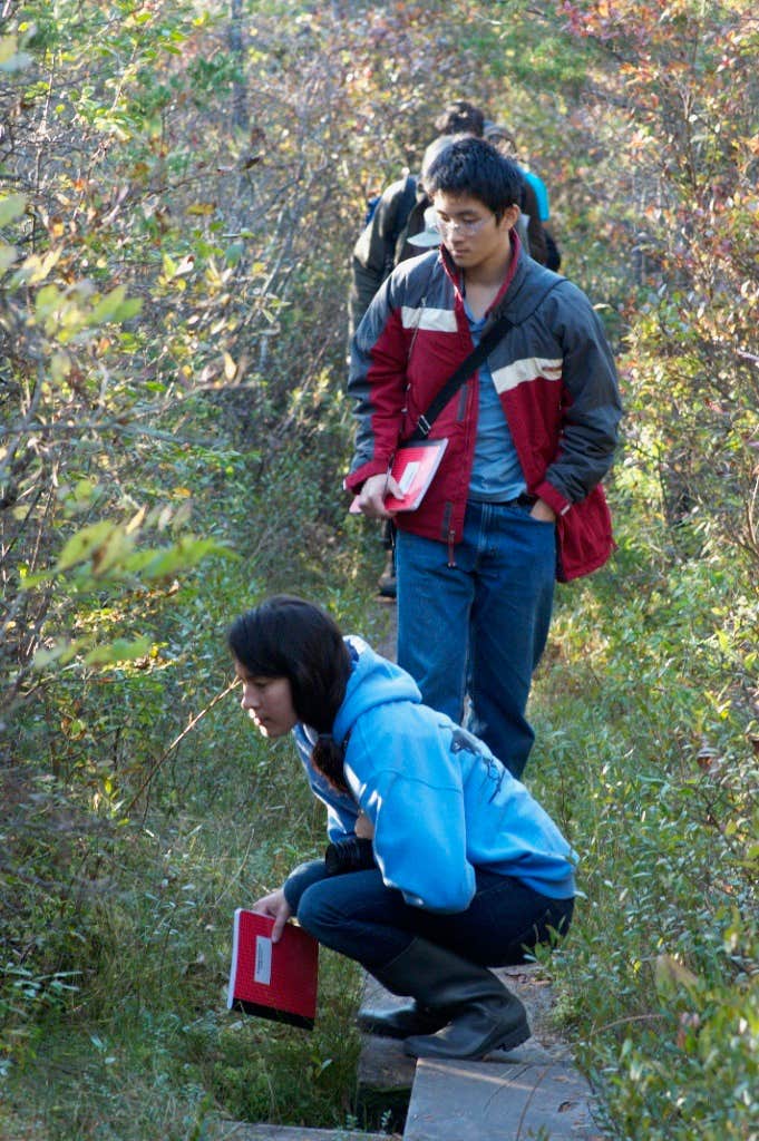 Camper-submitted photo at Ponkapoag Camp near Chelsea, MA