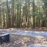 Review photo of Cumberland Mountain State Park Campground by Stephanie J., May 1, 2019