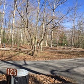 Review photo of Cumberland Mountain State Park Campground by Stephanie J., May 1, 2019