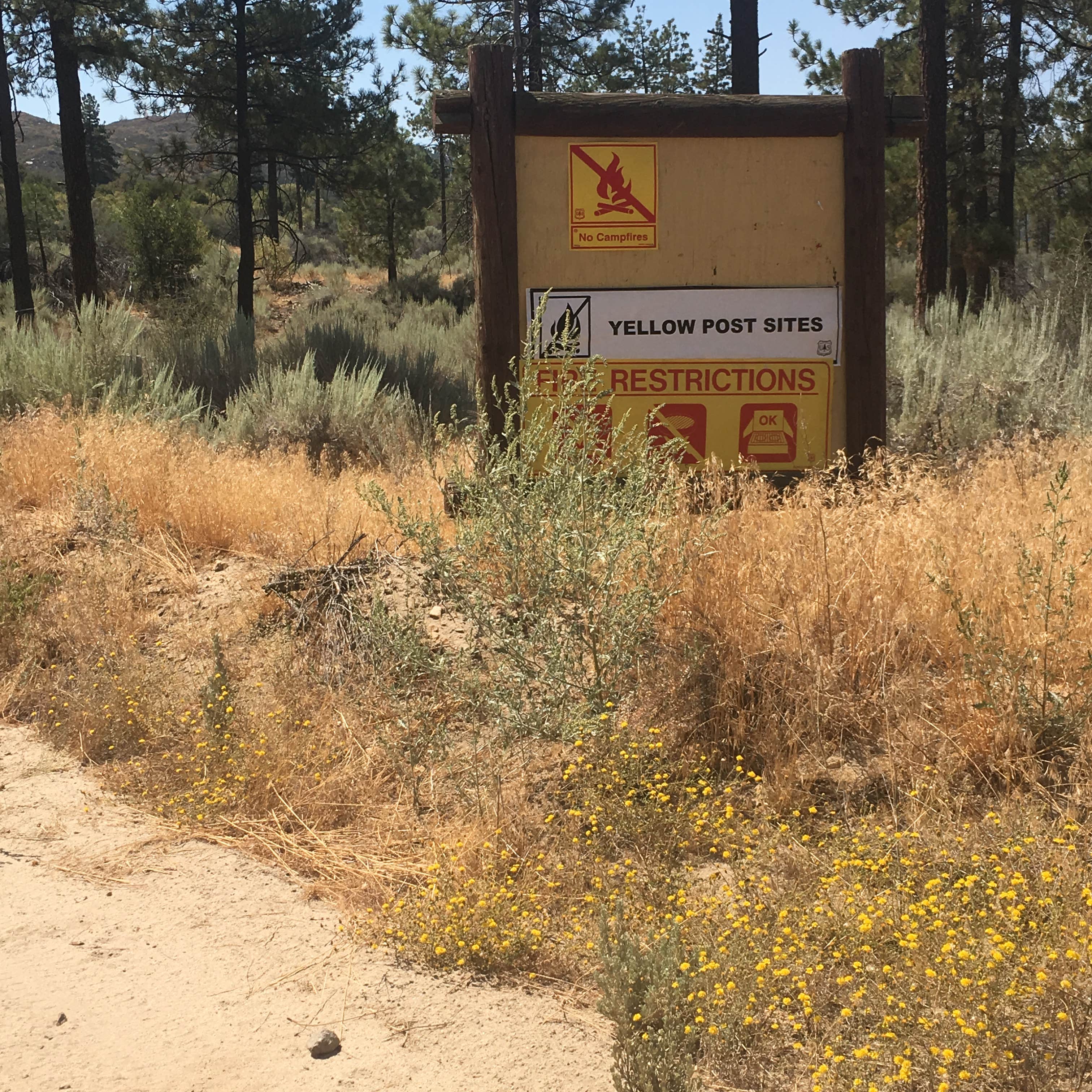 Camper-submitted photo at Thomas Hunting Grounds Yellow Post Campites near Redlands, CA