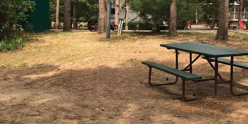 Camper submitted image from Smokey Hollow Campground