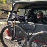 Review photo of Leopards Mill Hiker-biker Overnight Campsite — Chesapeake and Ohio Canal National Historical Park by Sasha W., May 1, 2019