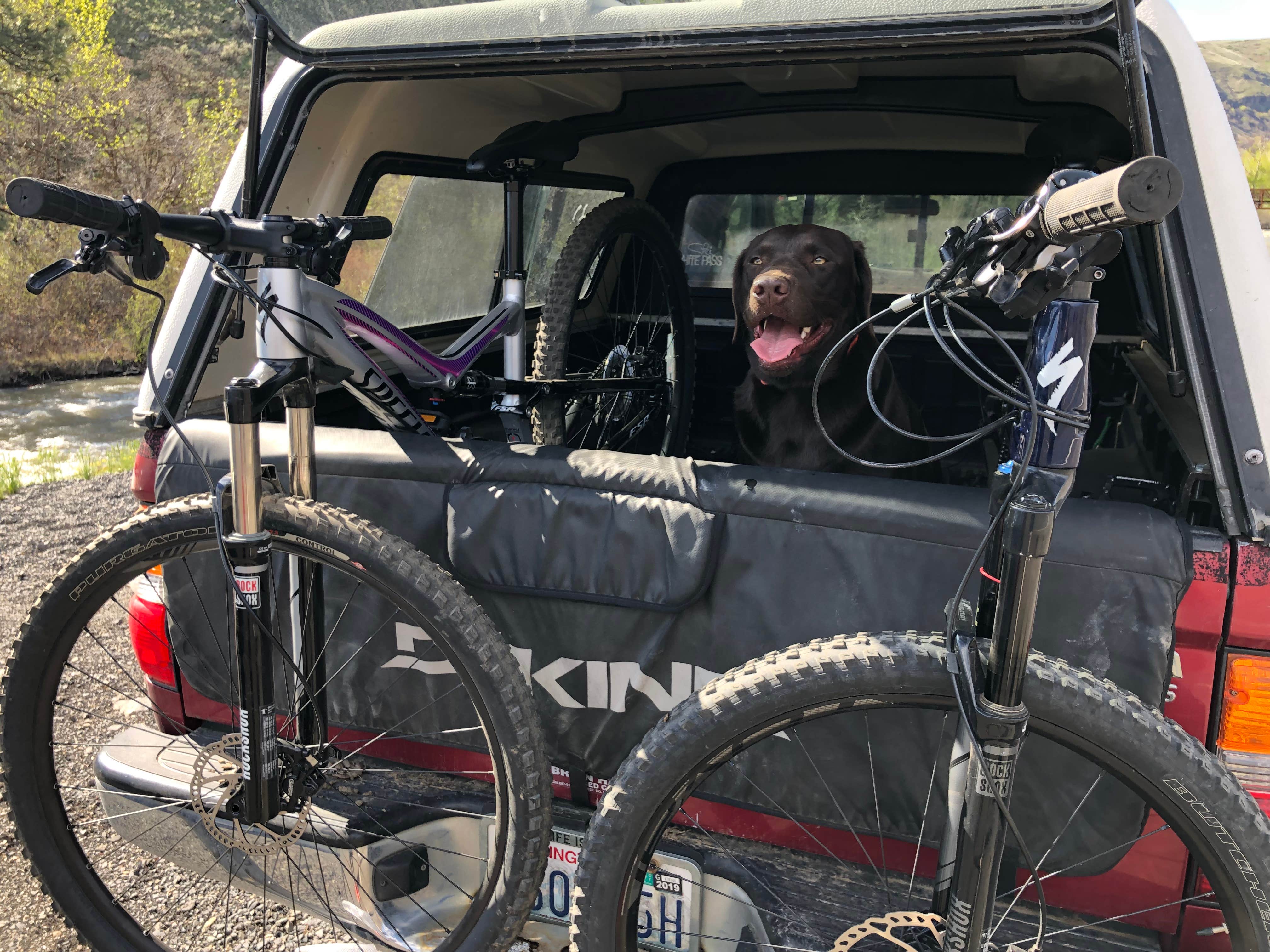 Camper submitted image from Leopards Mill Hiker-biker Overnight Campsite — Chesapeake and Ohio Canal National Historical Park - 2