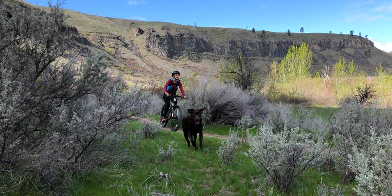 Camper submitted image from Leopards Mill Hiker-biker Overnight Campsite — Chesapeake and Ohio Canal National Historical Park