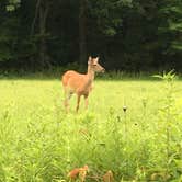 Review photo of Dubay Park Campground by Annie C., May 1, 2019