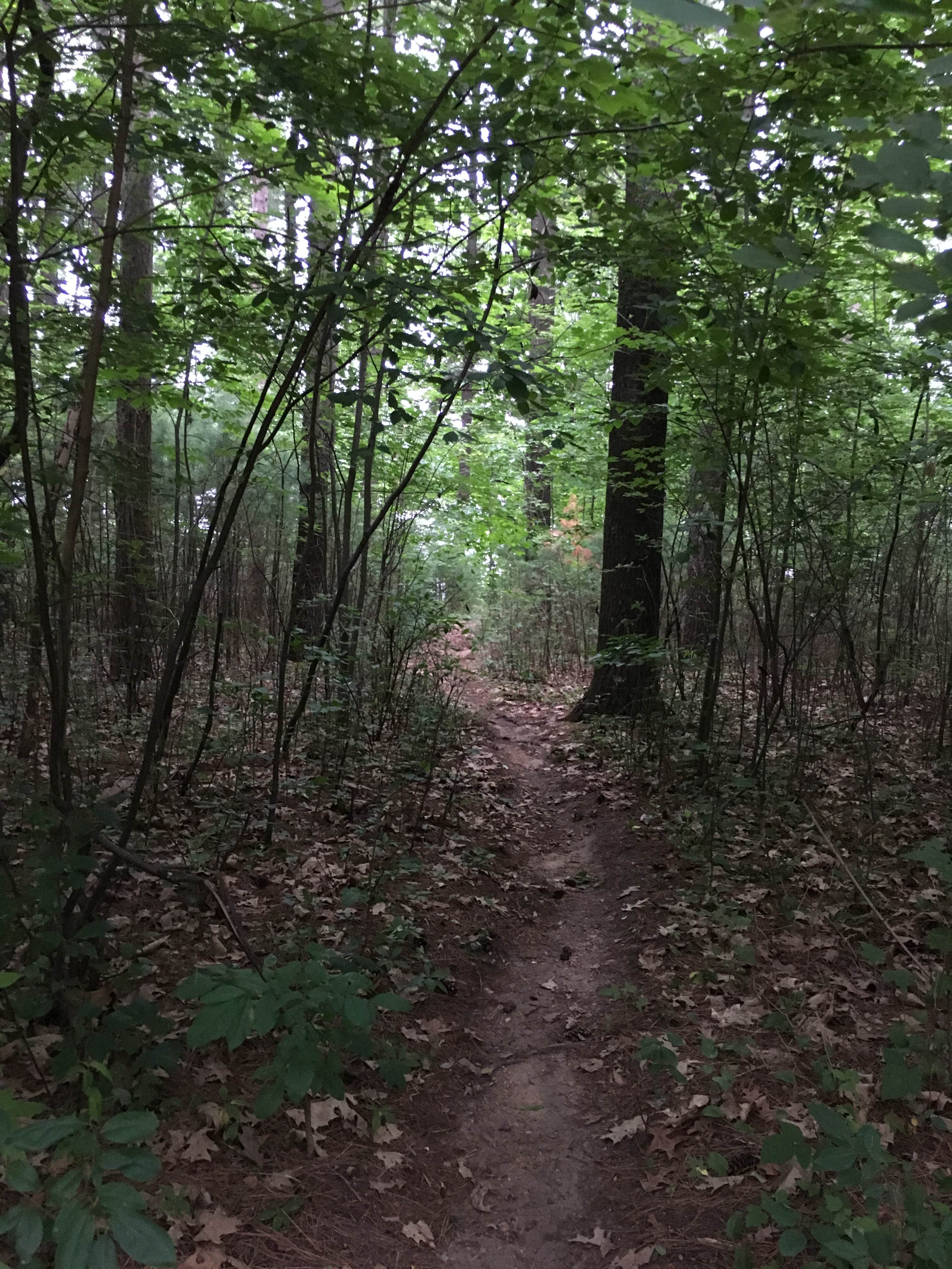 The hiking trail was really nice