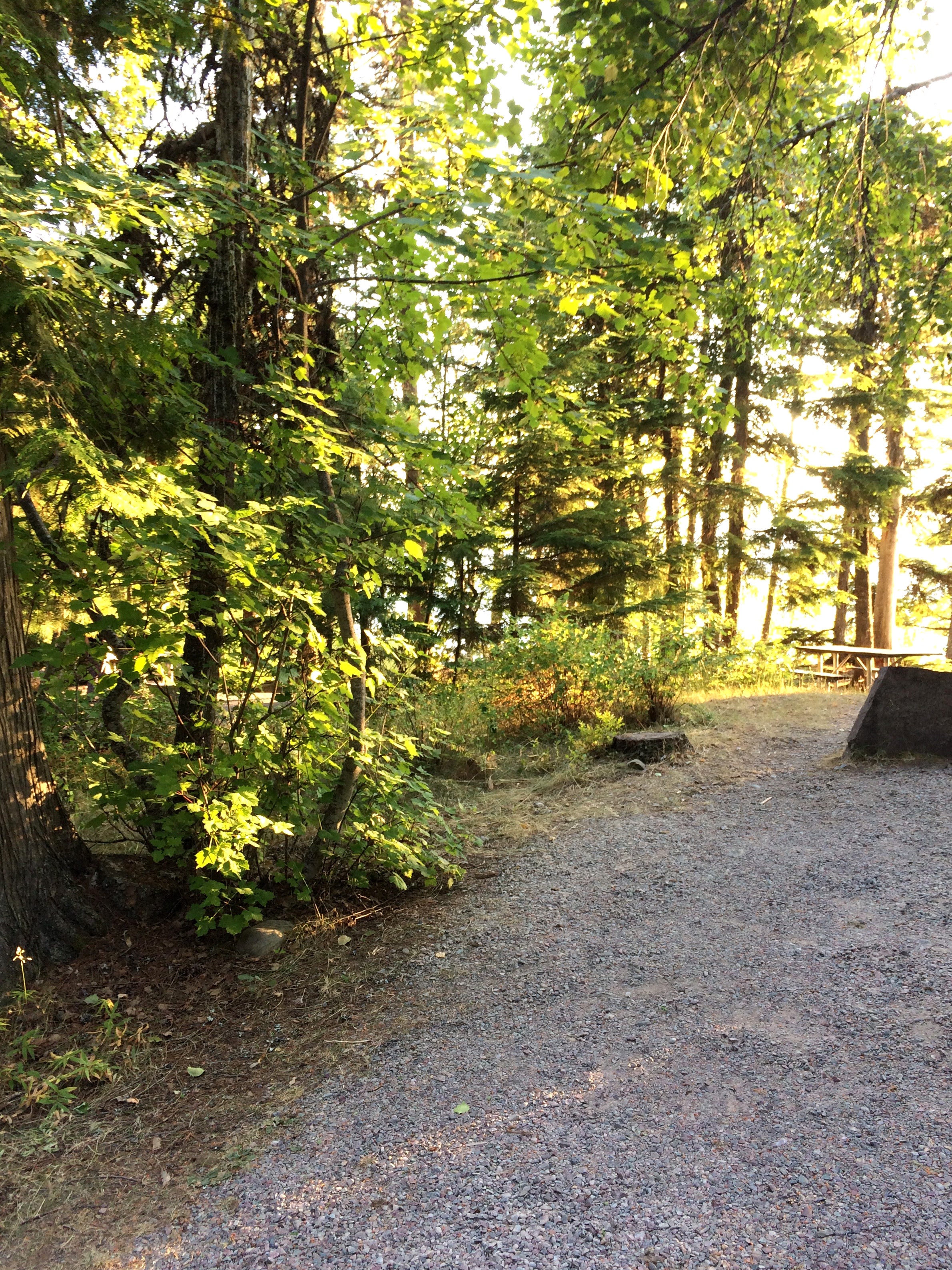 Camper submitted image from Sprague Creek Campground — Glacier National Park - 4