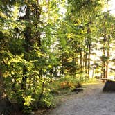 Review photo of Sprague Creek Campground — Glacier National Park by Brian C., April 24, 2019