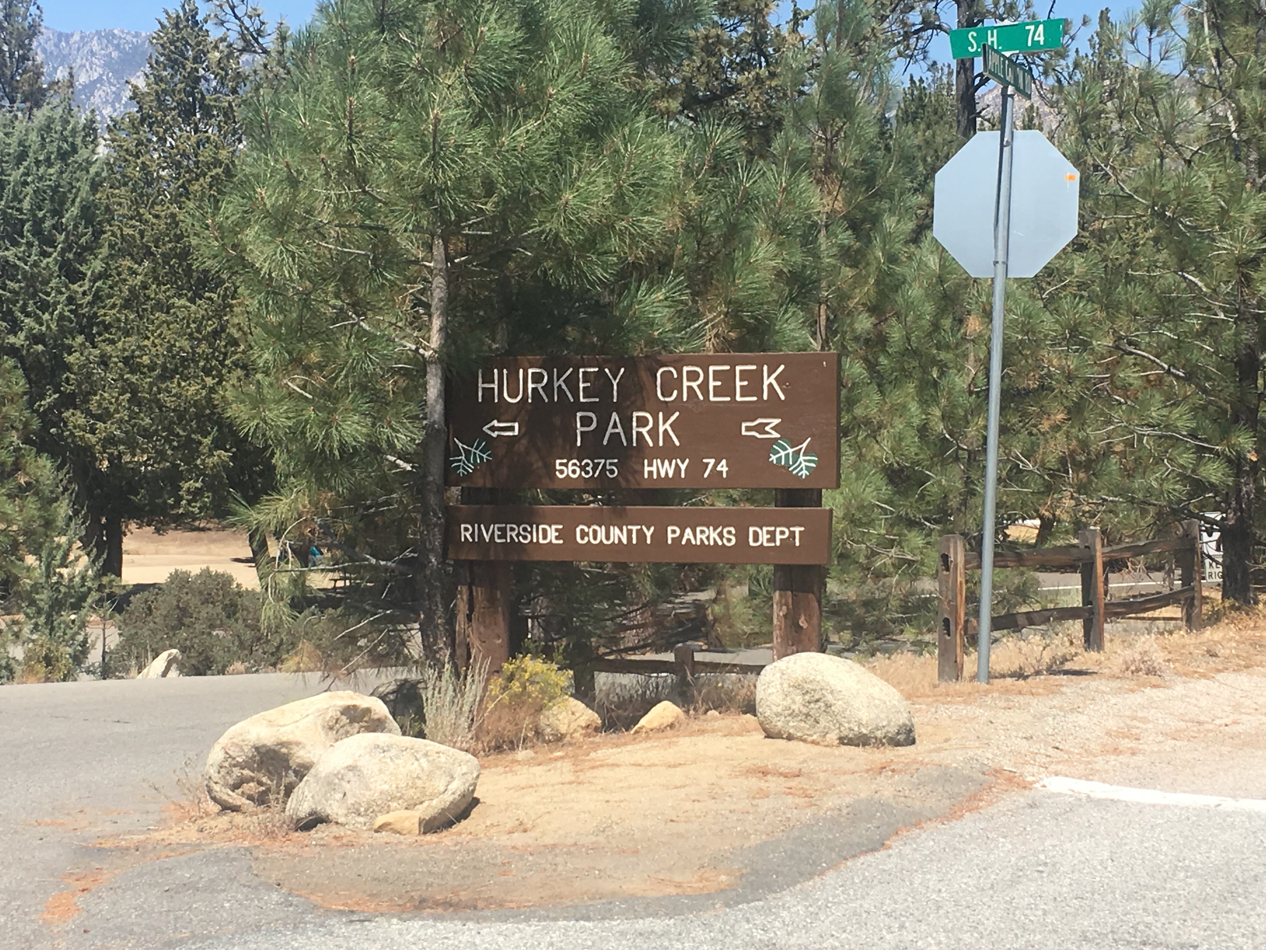 Camper submitted image from Hurkey Creek Park - 2